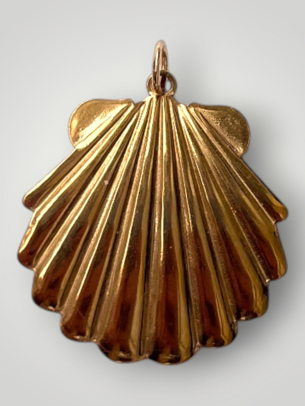 Seashell Pendant