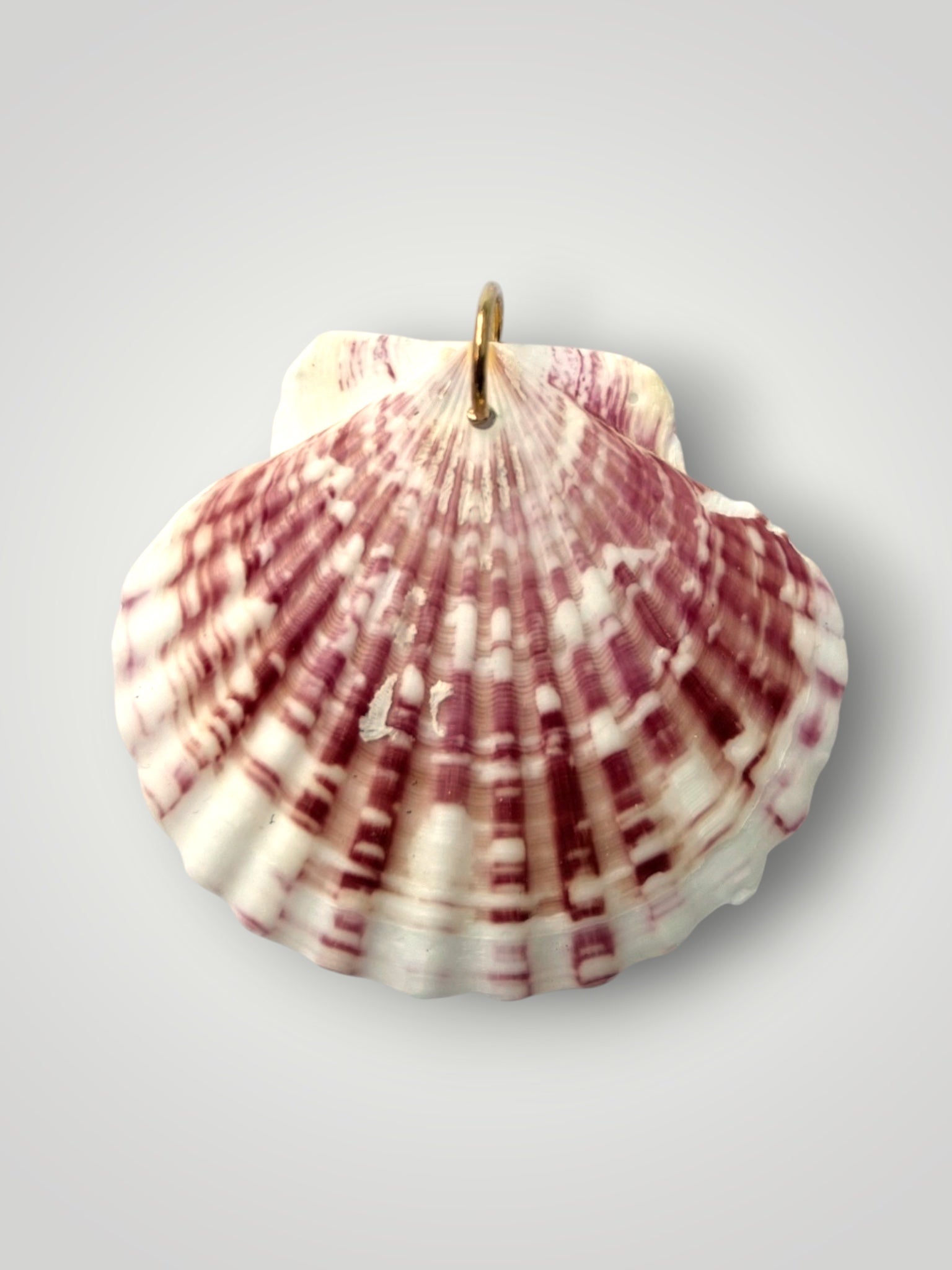 salty Seashell Pendant